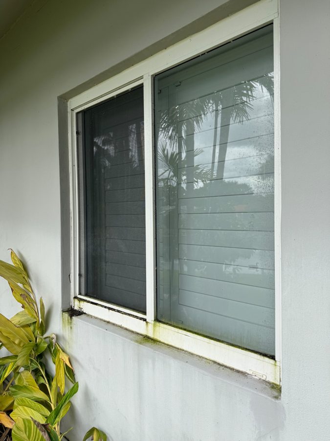 Sliding window — algae and grime removed from the glass, frame, track, and exterior sill. before