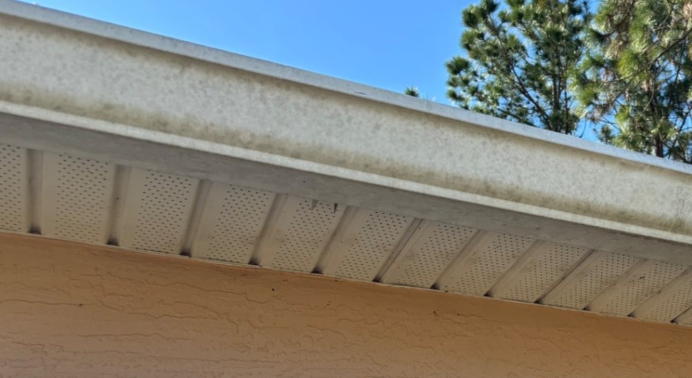 Gutter and soffit — grime and mildew washed off the gutter face and vented soffit. before