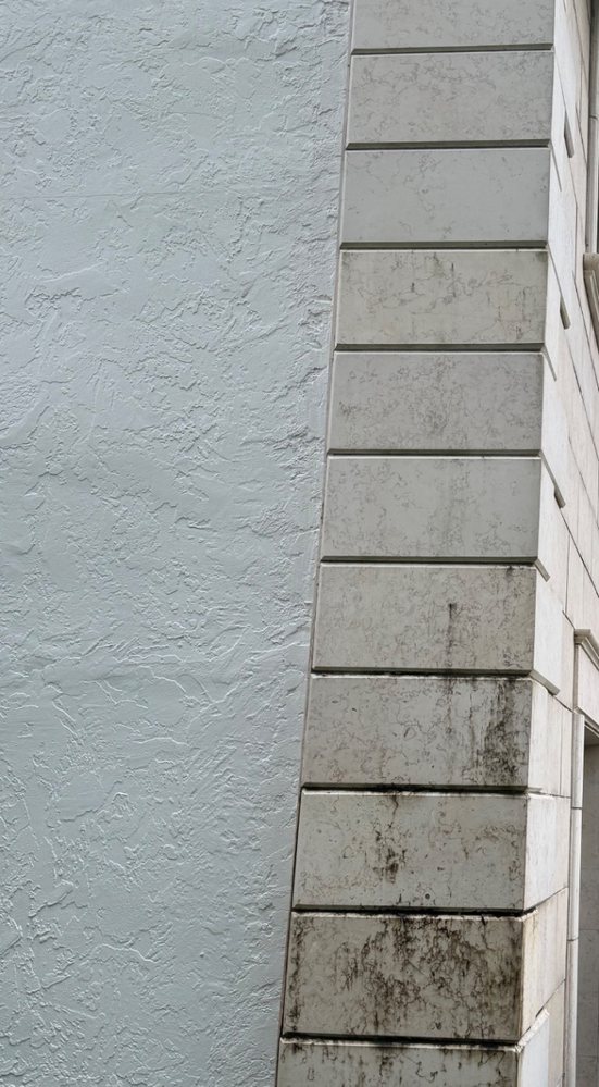 Stone frontage — black algae and organic staining lifted out of the block work and stucco. before
