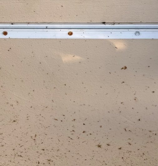 Wall beneath the window — bug residue, webbing, and dirt spatter washed off the wall and sill. before