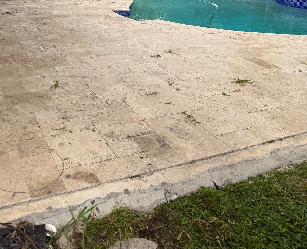 Pool patio — weeds, dirt, and staining cleaned out of the pavers and joints. before